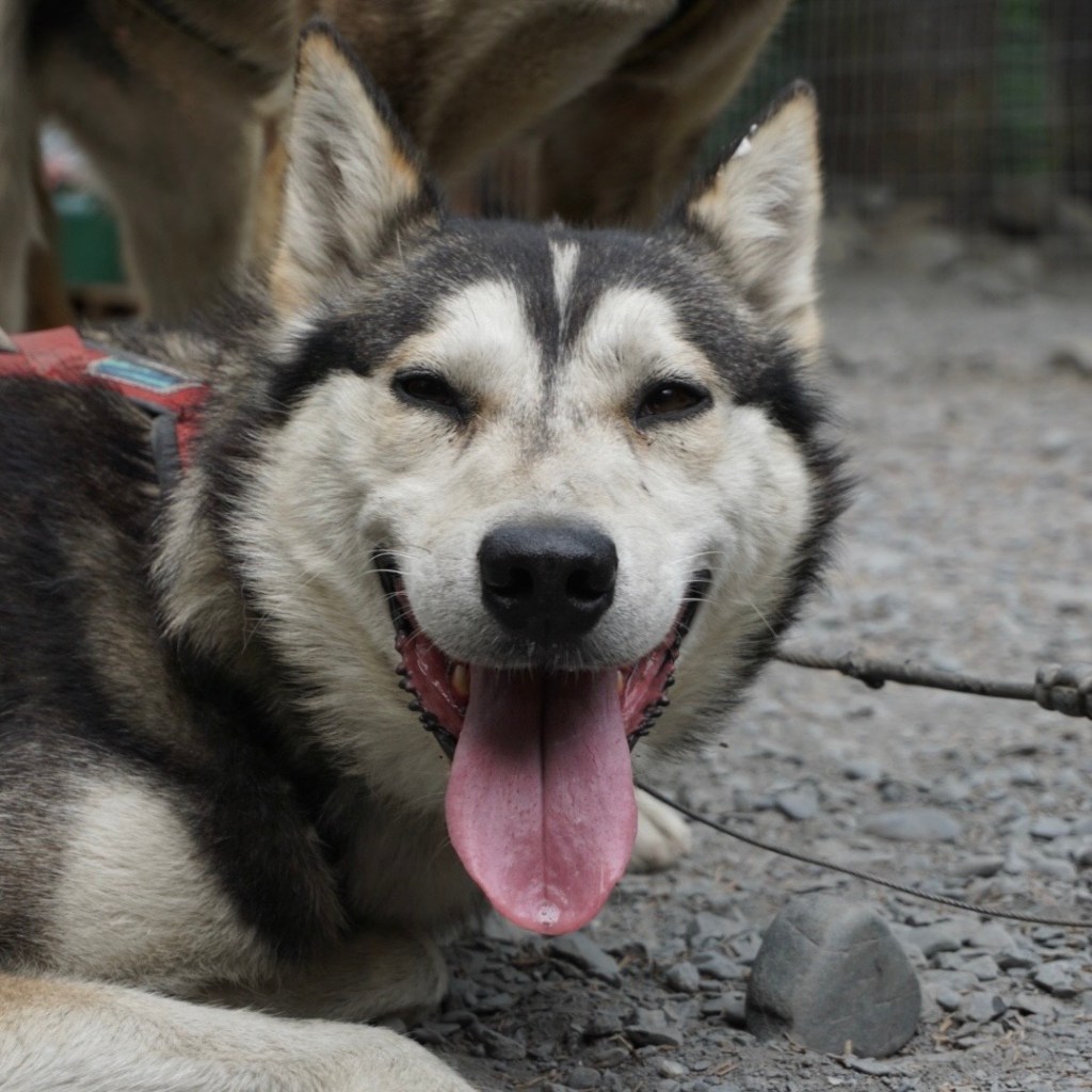 Massively Useful’s first song is up on&nbsp;Bandcamp!